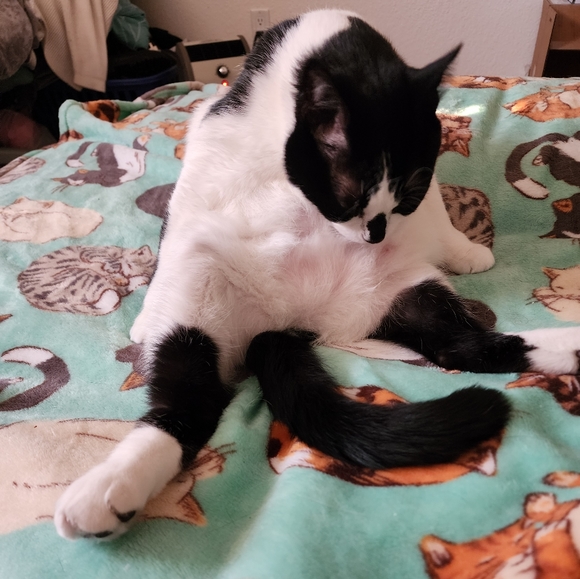 Clothing - Picture 2 of 12